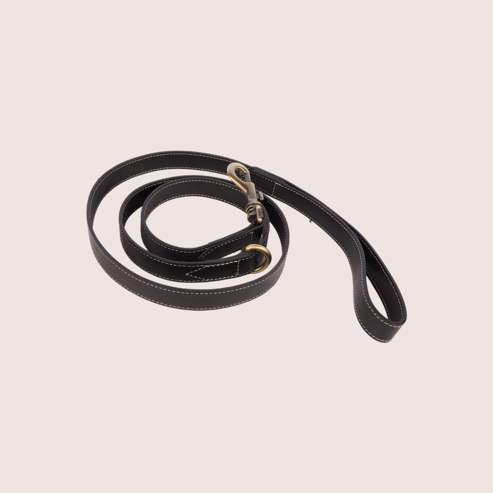 Dog Leash